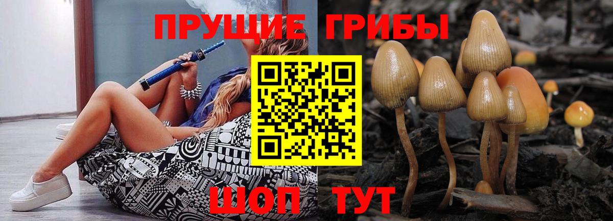 дарнет шоп  Вход с VPN  Воскресенск  Псилоцибиновые грибы ЛСД 